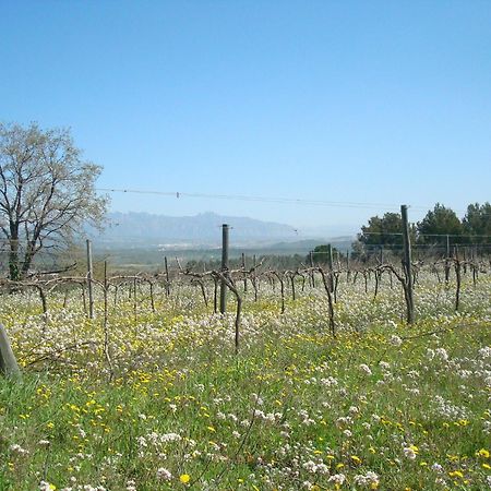 San Quintín de Mediona Comarquinal Bioresort Penedes المظهر الخارجي الصورة